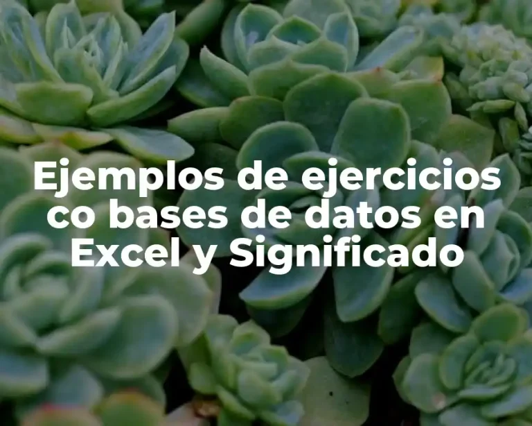 Ejemplos de ejercicios co bases de datos en Excel y Significado