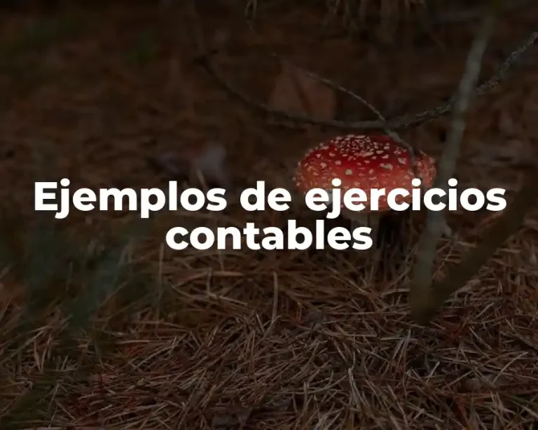 Ejemplos de ejercicios contables