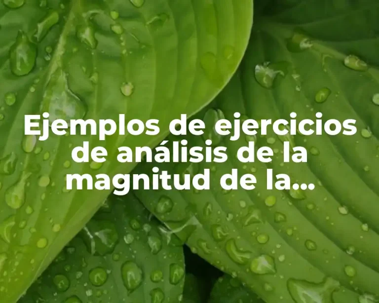 Ejemplos de ejercicios de análisis de la magnitud de la resultante y Significado