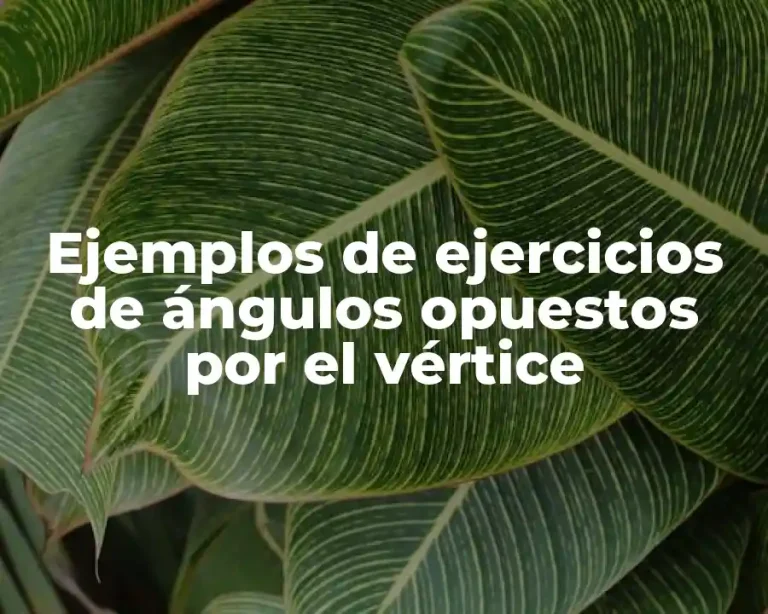 Ejemplos de ejercicios de ángulos opuestos por el vértice