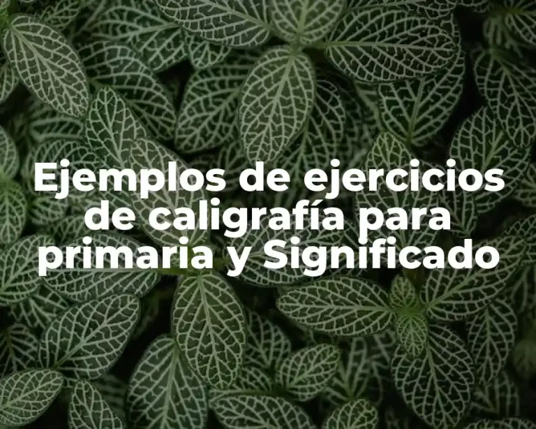 Ejemplos de ejercicios de caligrafía para primaria y Significado
