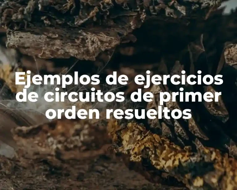 Ejemplos de ejercicios de circuitos de primer orden resueltos
