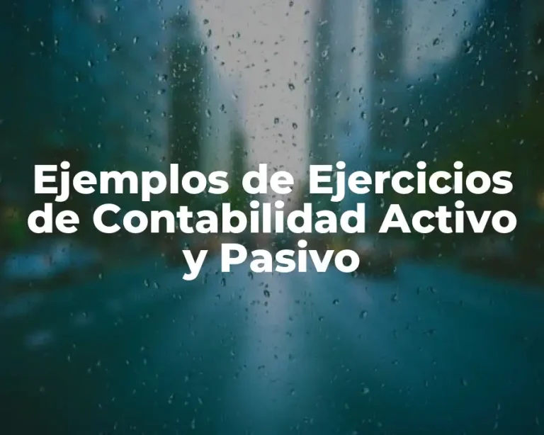Ejemplos de Ejercicios de Contabilidad Activo y Pasivo