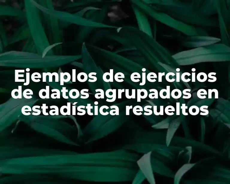 Ejemplos de ejercicios de datos agrupados en estadística resueltos
