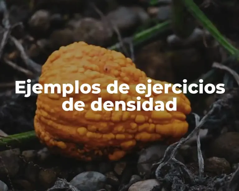 Ejemplos de ejercicios de densidad