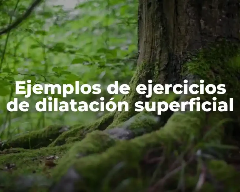 Ejemplos de ejercicios de dilatación superficial