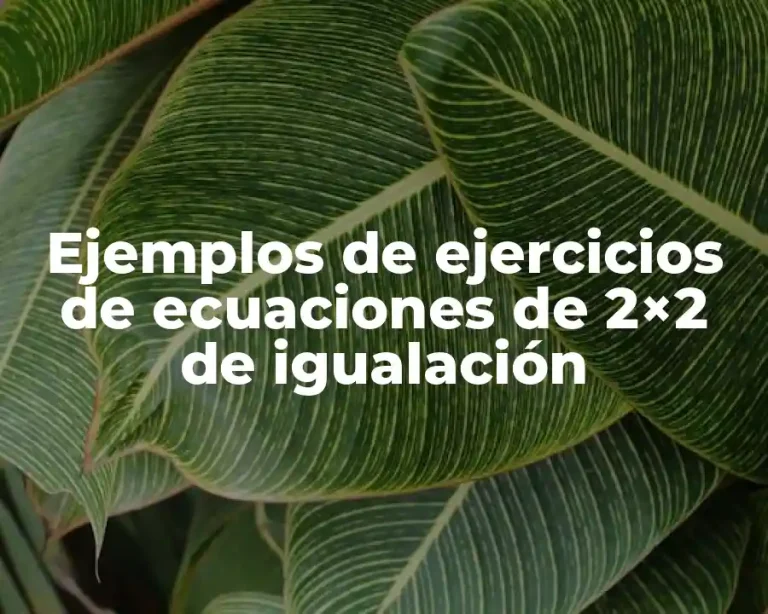 Ejemplos de ejercicios de ecuaciones de 2×2 de igualación