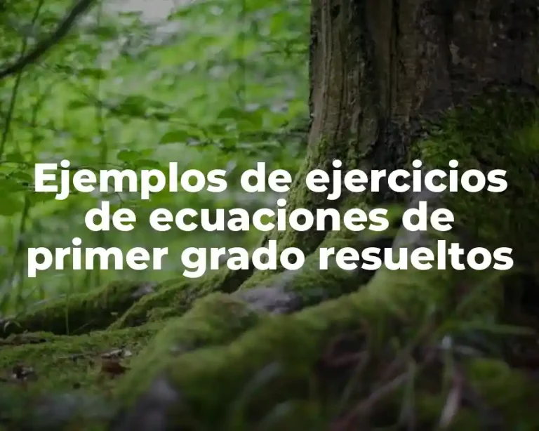 Ejemplos de ejercicios de ecuaciones de primer grado resueltos