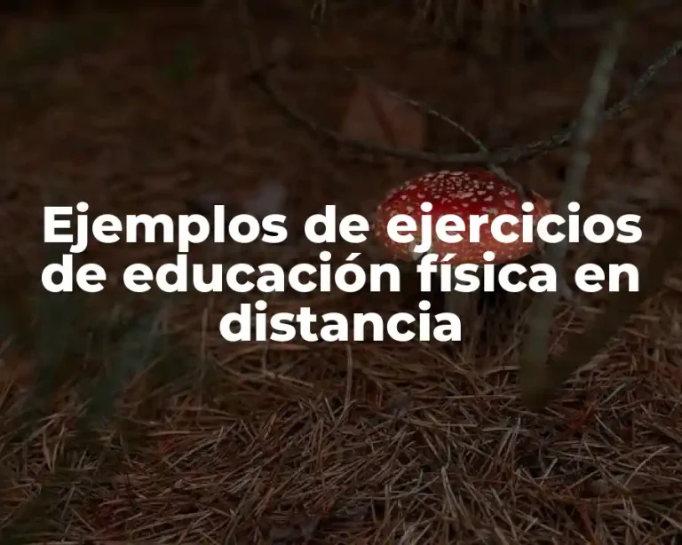 Ejemplos de ejercicios de educación física en distancia