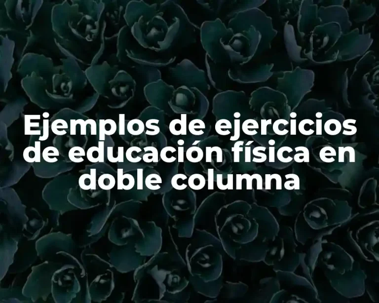 Ejemplos de ejercicios de educación física en doble columna