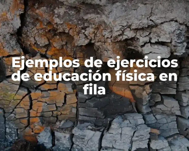 Ejemplos de ejercicios de educación física en fila