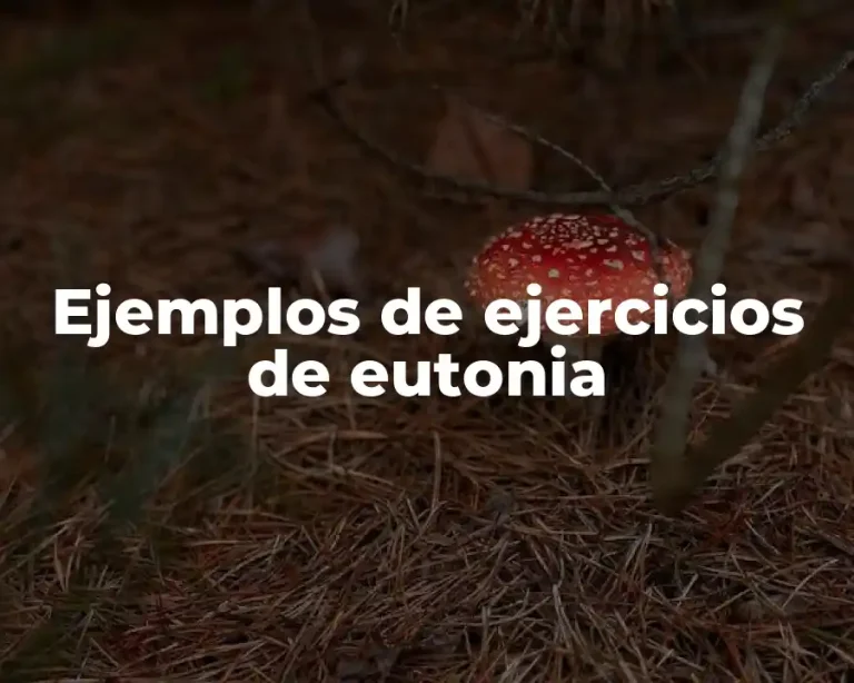 Ejemplos de ejercicios de eutonia