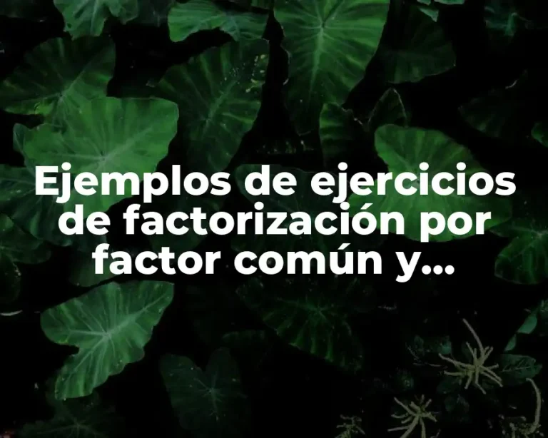 Ejemplos de ejercicios de factorización por factor común y Significado