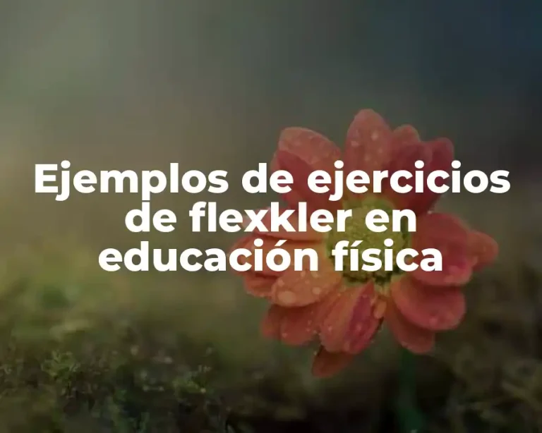 Ejemplos de ejercicios de flexkler en educación física