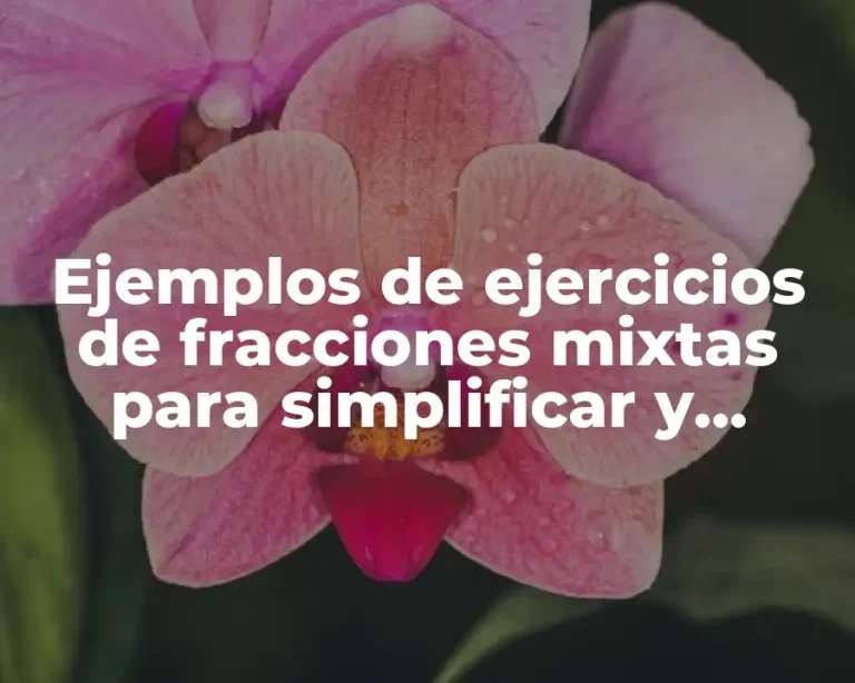 Ejemplos de ejercicios de fracciones mixtas para simplificar y Significado