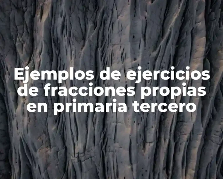 Ejemplos de ejercicios de fracciones propias en primaria tercero