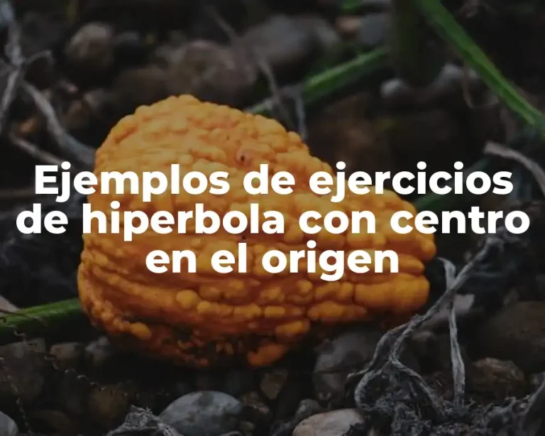 Ejemplos de ejercicios de hiperbola con centro en el origen