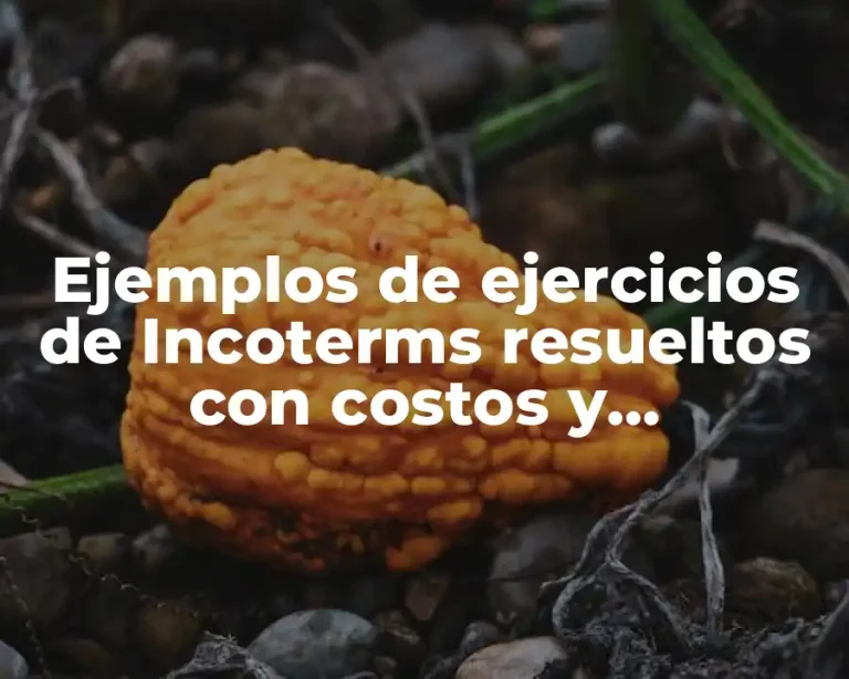 Ejemplos de ejercicios de Incoterms resueltos con costos y Significado