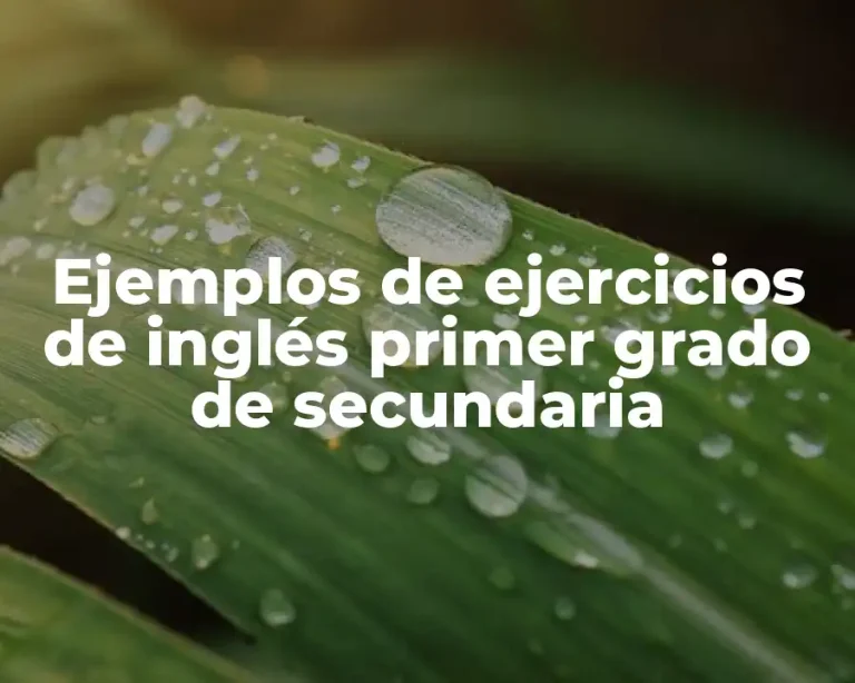 Ejemplos de ejercicios de inglés primer grado de secundaria