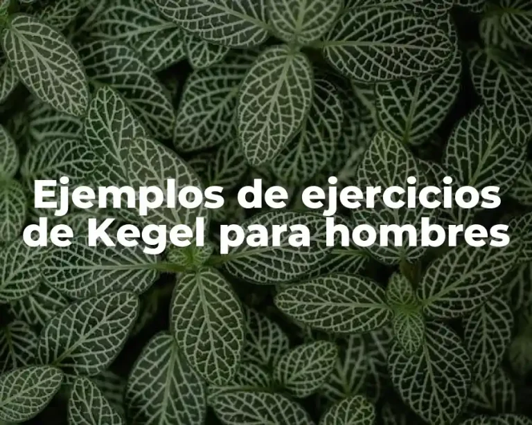 Ejemplos de ejercicios de Kegel para hombres
