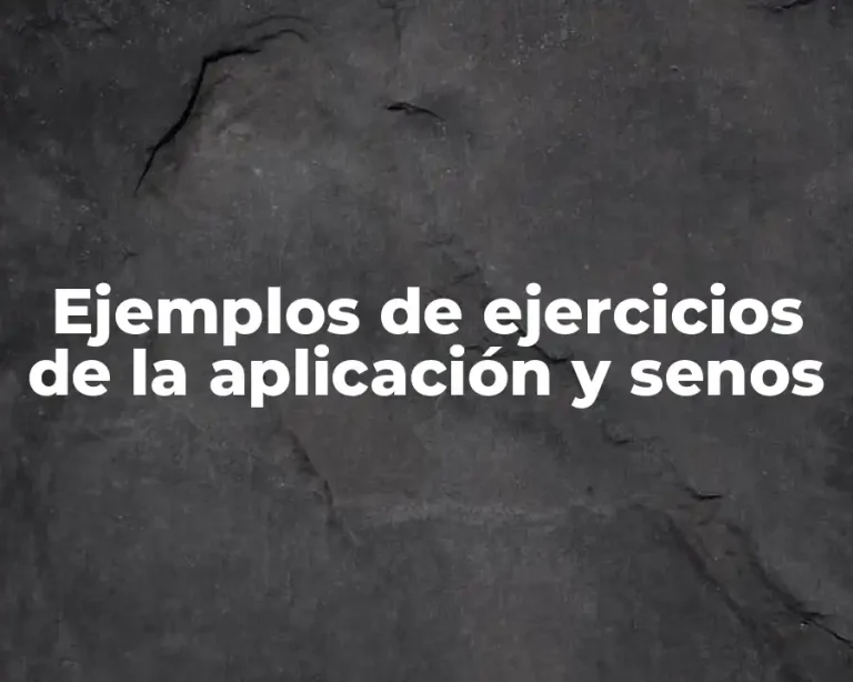Ejemplos de ejercicios de la aplicación y senos