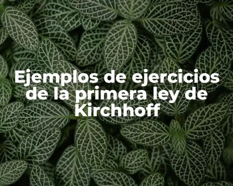 Ejemplos de ejercicios de la primera ley de Kirchhoff