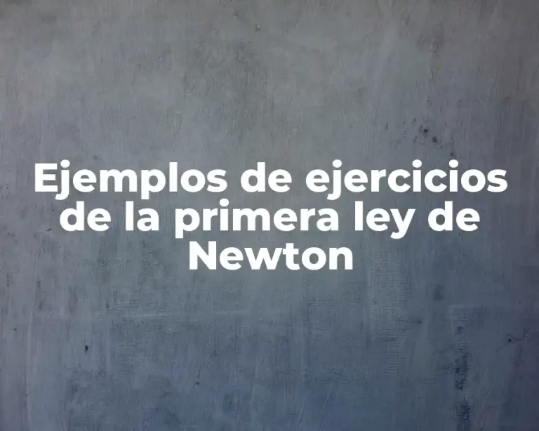 Ejemplos de ejercicios de la primera ley de Newton