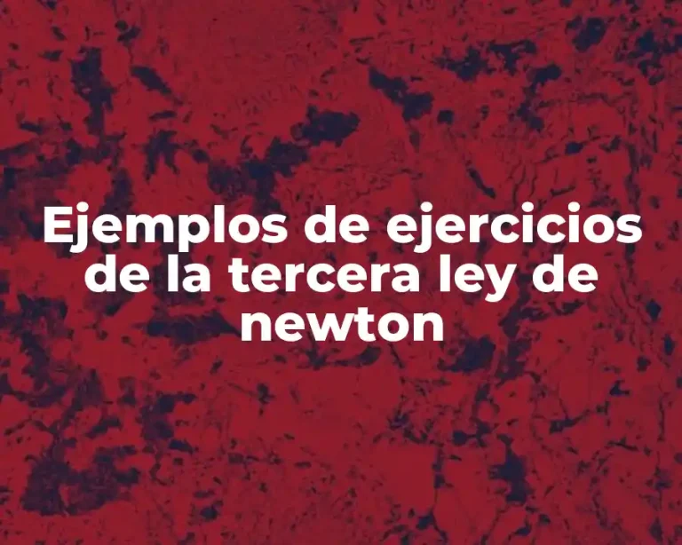 Ejemplos de ejercicios de la tercera ley de newton