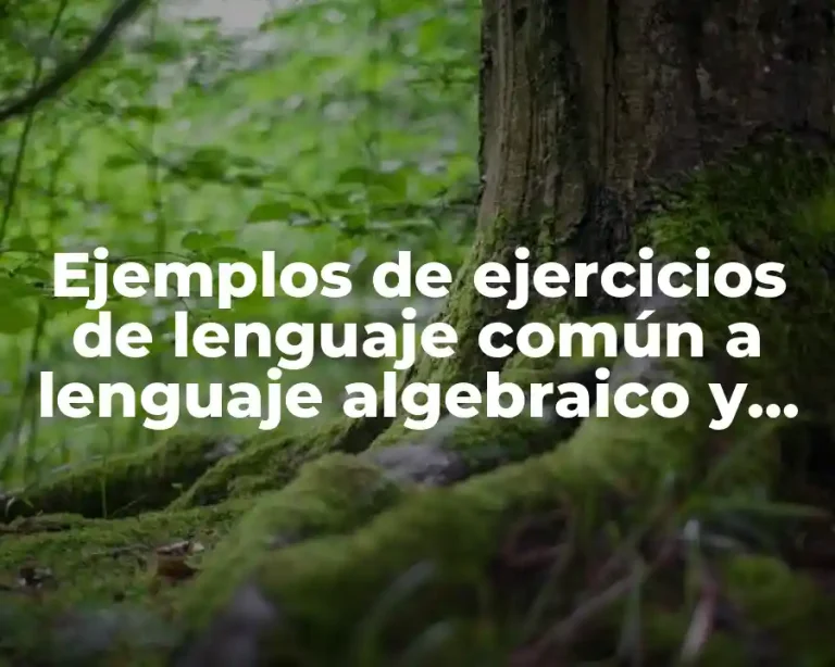Ejemplos de ejercicios de lenguaje común a lenguaje algebraico y Significado