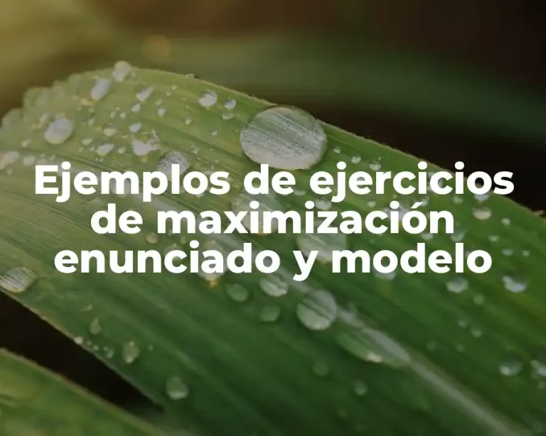 Ejemplos de ejercicios de maximización enunciado y modelo