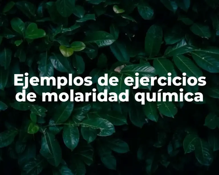Ejemplos de ejercicios de molaridad química