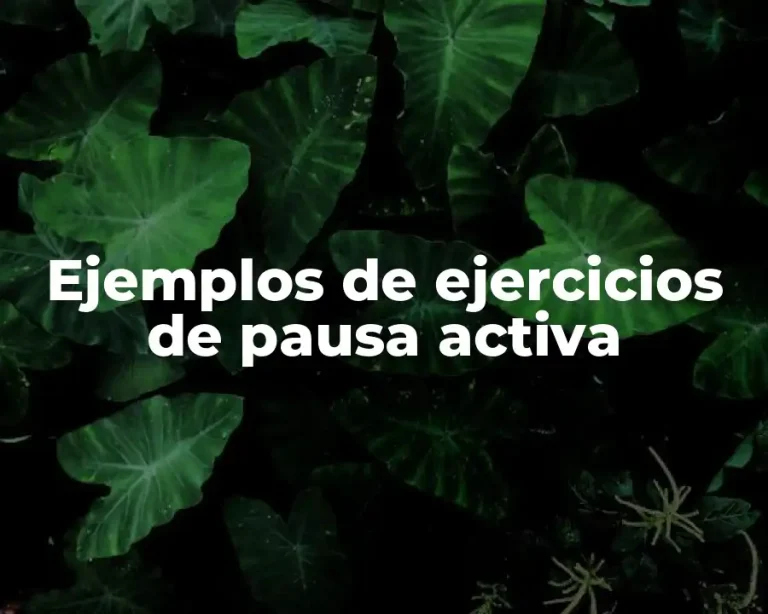 Ejemplos de ejercicios de pausa activa