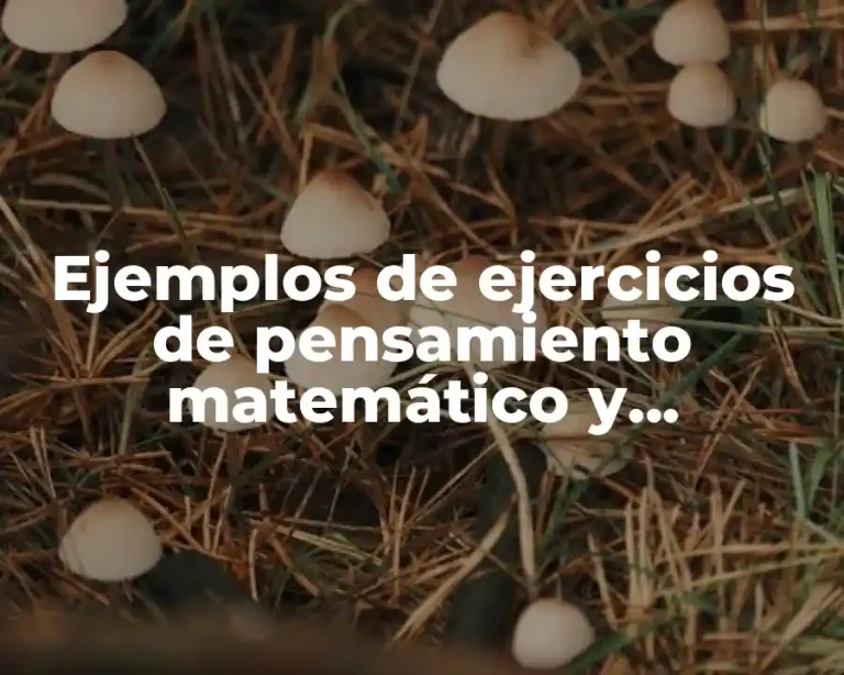 Ejemplos de ejercicios de pensamiento matemático y pensamiento analítico