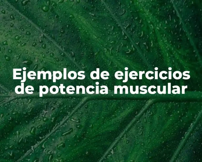 Ejemplos de ejercicios de potencia muscular