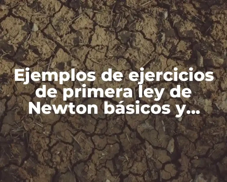 Ejemplos de ejercicios de primera ley de Newton básicos y Significado