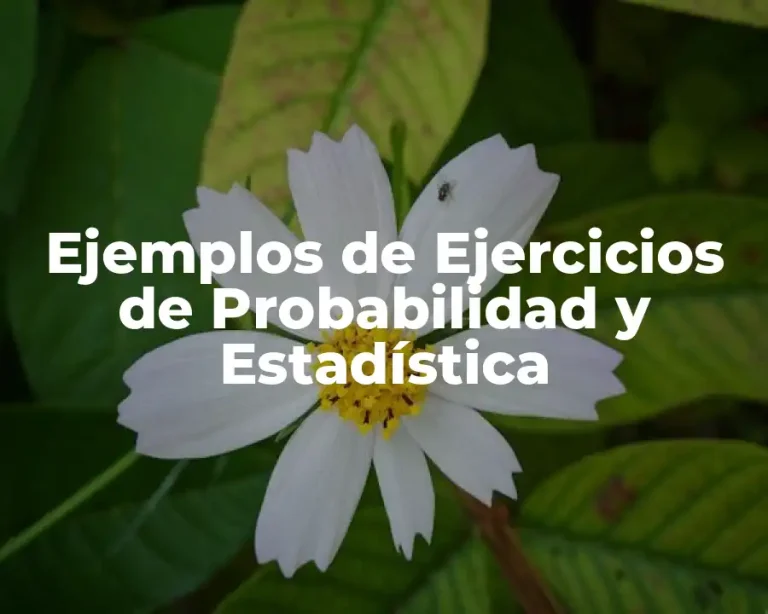 Ejemplos de Ejercicios de Probabilidad y Estadística