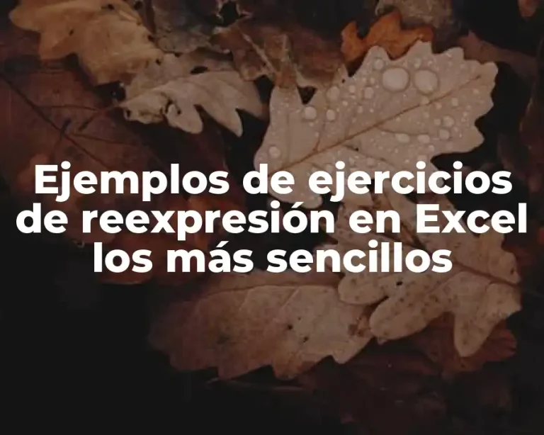 Ejemplos de ejercicios de reexpresión en Excel los más sencillos