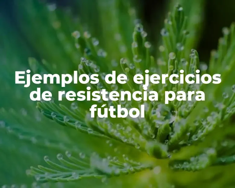 Ejemplos de ejercicios de resistencia para fútbol