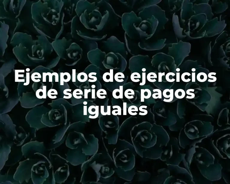 Ejemplos de ejercicios de serie de pagos iguales