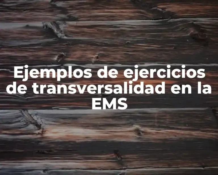 Ejemplos de ejercicios de transversalidad en la EMS
