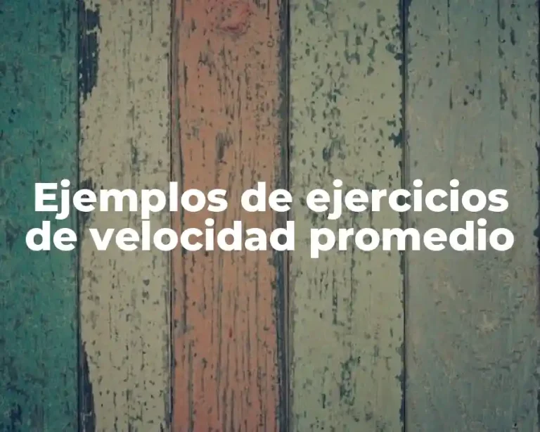 Ejemplos de ejercicios de velocidad promedio