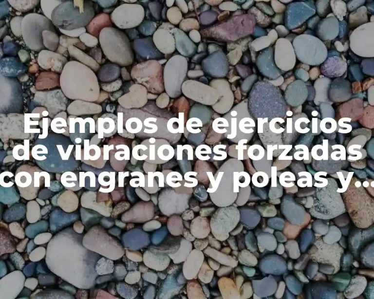 Ejemplos de ejercicios de vibraciones forzadas con engranes y poleas y Significado