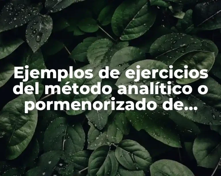 Ejemplos de ejercicios del método analítico o pormenorizado de mercancías