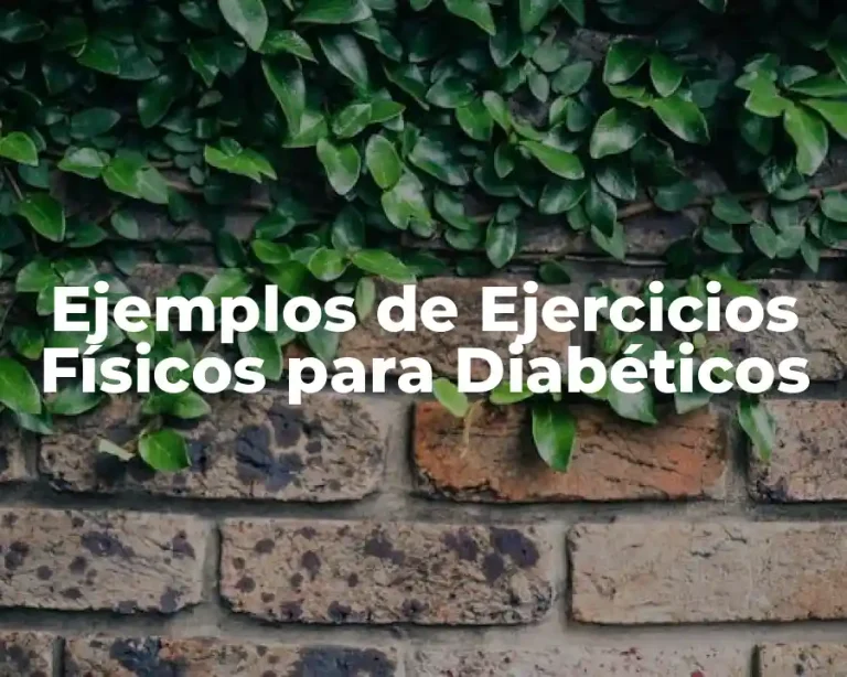 Ejemplos de Ejercicios Físicos para Diabéticos