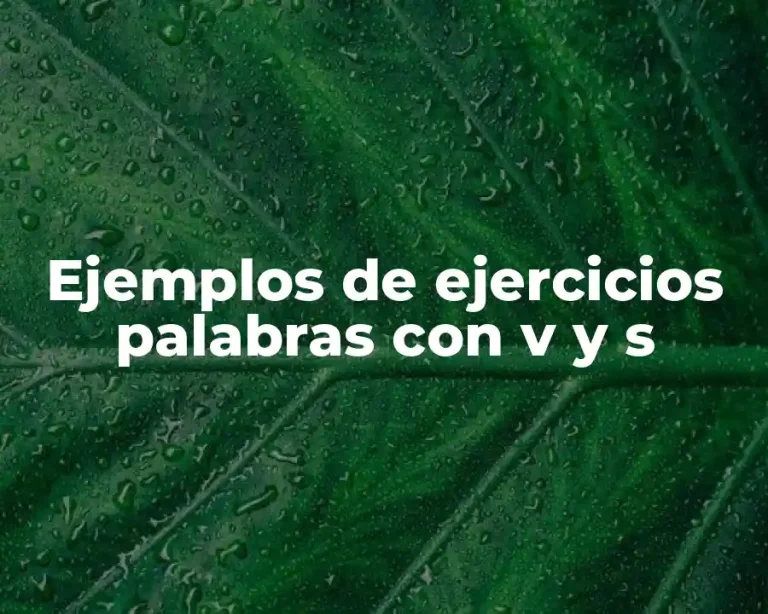 Ejemplos de ejercicios palabras con v y s