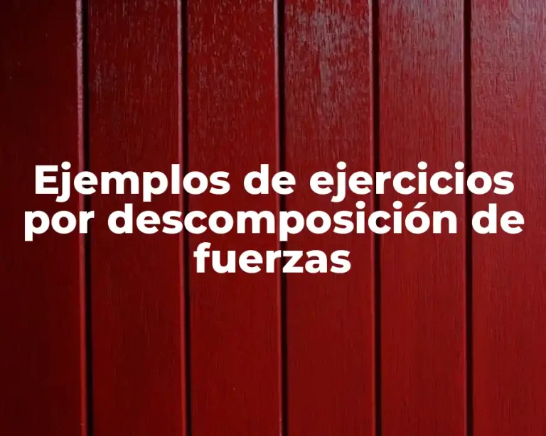 Ejemplos de ejercicios por descomposición de fuerzas