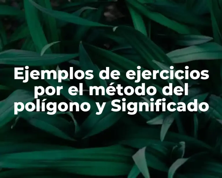 Ejemplos de ejercicios por el método del polígono y Significado