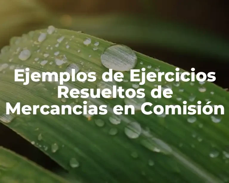 Ejemplos de Ejercicios Resueltos de Mercancias en Comisión