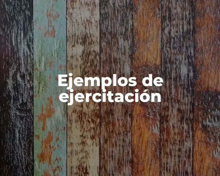 Ejemplos de ejercitación
