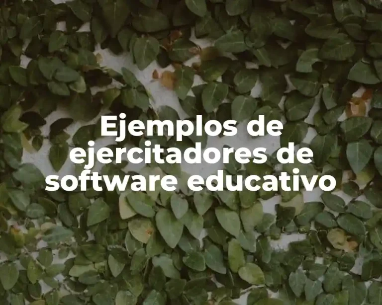 Ejemplos de ejercitadores de software educativo